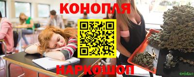 прущие крисы Абакан