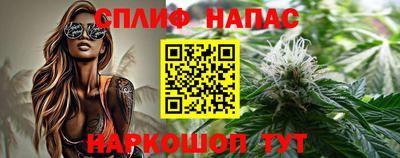 прущие крисы Абакан