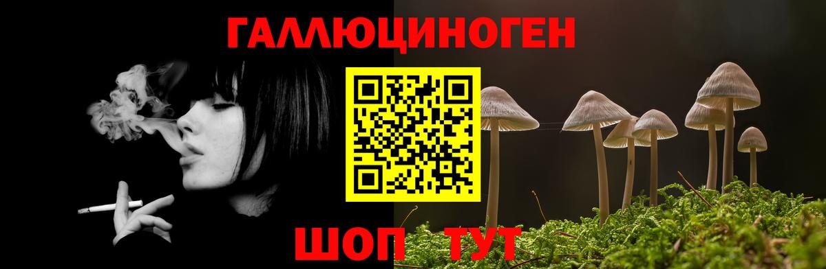 Галлюциногенные грибы мухоморы  Вход с VPN  Абинск  Галлюциногенные грибы ЛСД 
