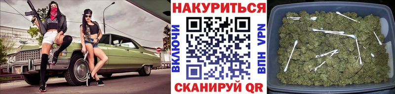 как найти закладки  Абинск  Канабис сатива 